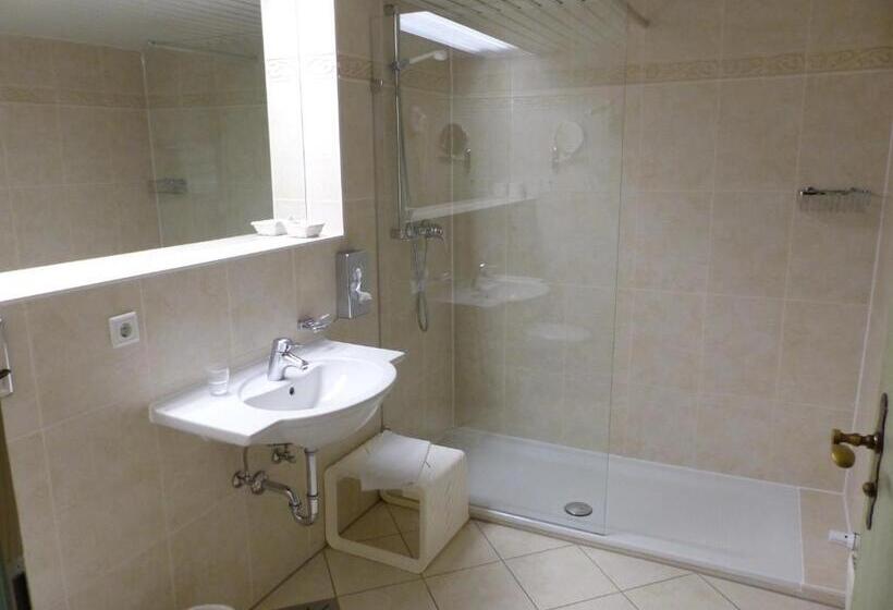 Номер Комфорт Индивидуальный, Mayer