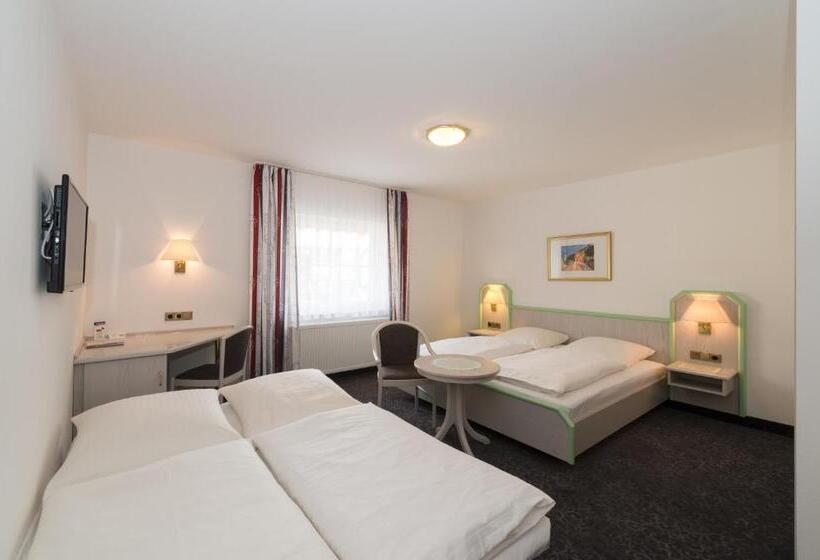 Семейный Номер, Schneider