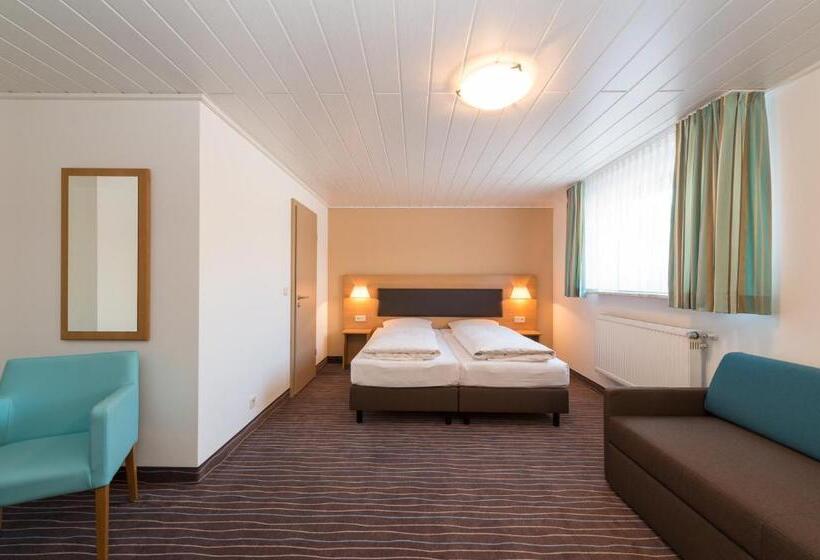 Номер Стандарт Трехместный, Schneider