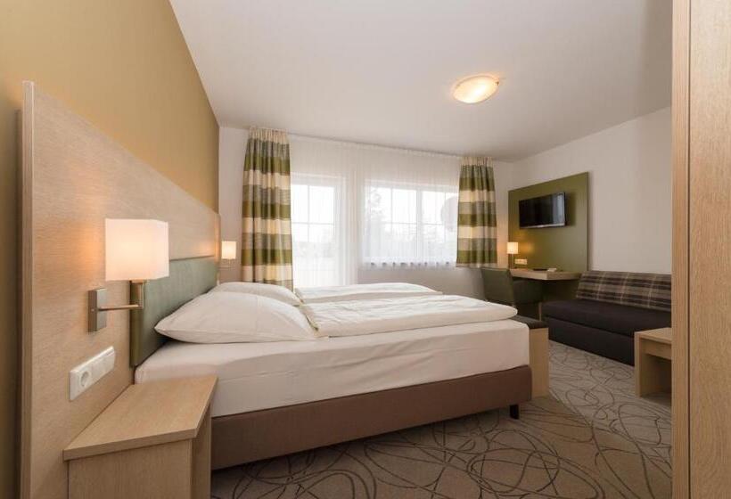 Номер Стандарт Трехместный, Schneider