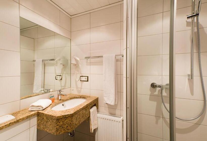 Номер Economy Индивидуальный, Schneider