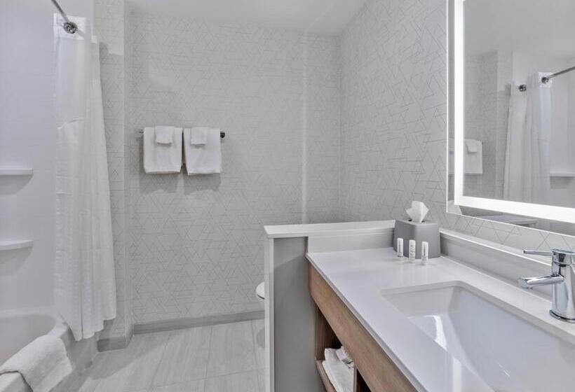 Номер Стандарт Кровать Кинг Адаптированный для Инвалидов, Holiday Inn Express Huntsville Space Center, An Ihg