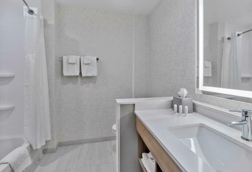 스위트, Holiday Inn Express   Huntsville Space Center, An Ihg