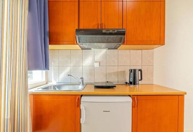 Standard-huone Merinäkymä Parveke, Niros Beachfront Apart