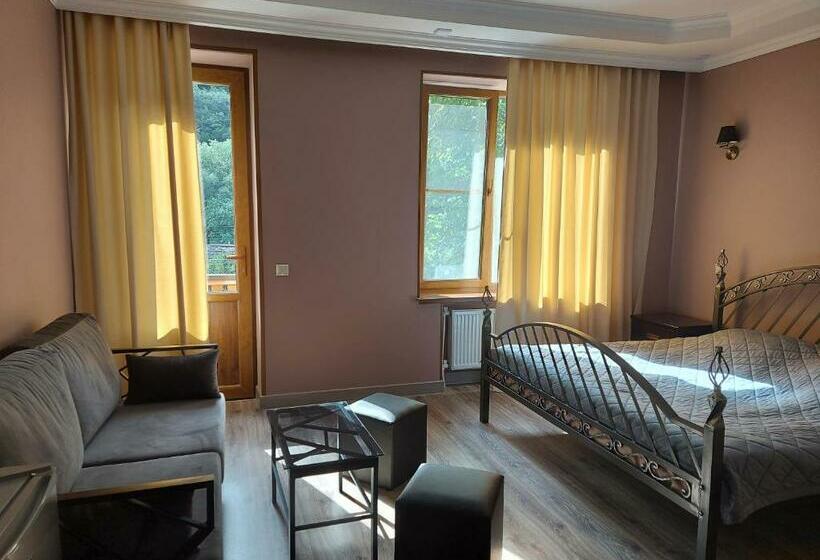 Номер Стандарт с Балконом, Van Guesthouse
