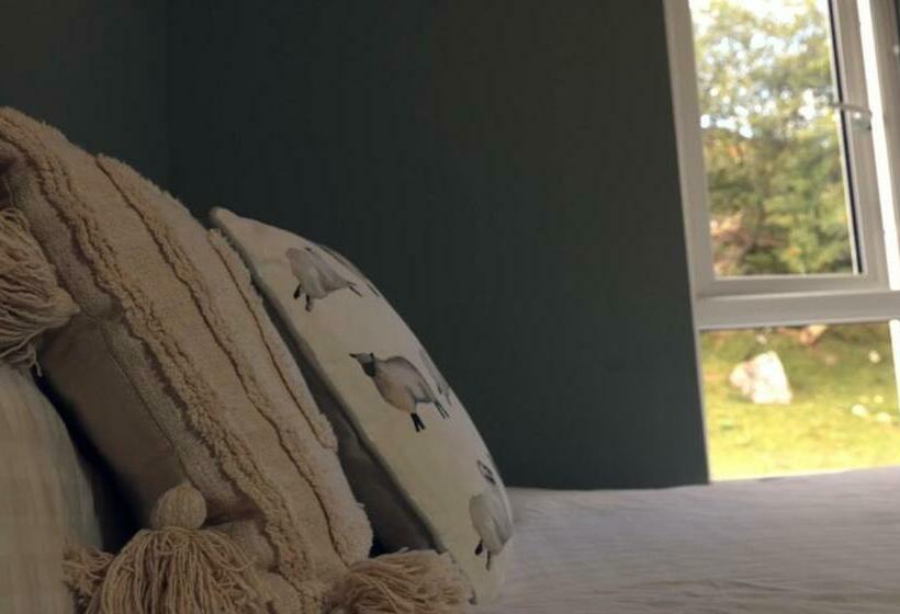 스탠다드 룸, Ben Lettery Hostel