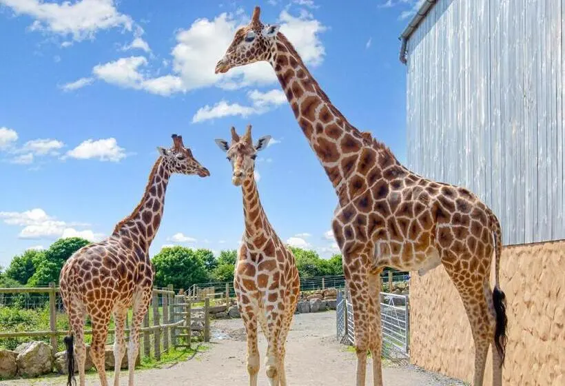１ベッドルームハウス, Folly Farm Holiday Park
