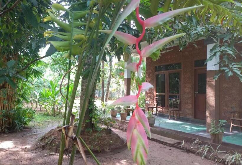 וילה עם חדר שינה אחד ובריכת שחיה, Hela Gedara