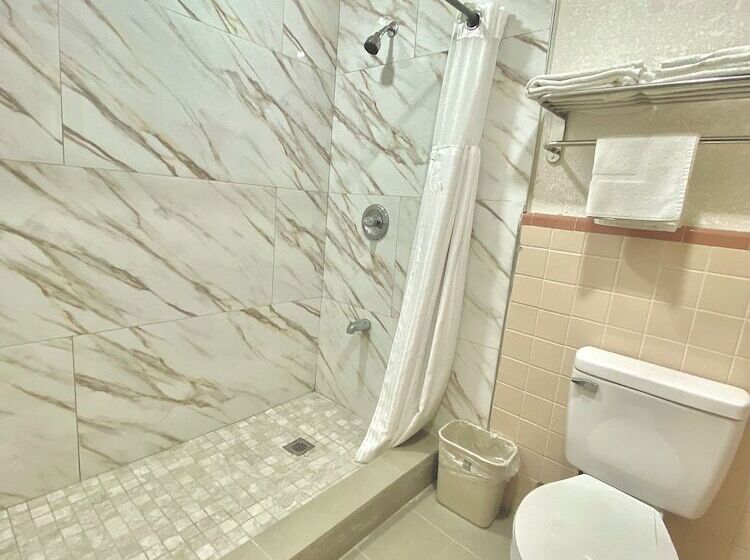 חדר סטנדרט יחיד, Tropic Motel