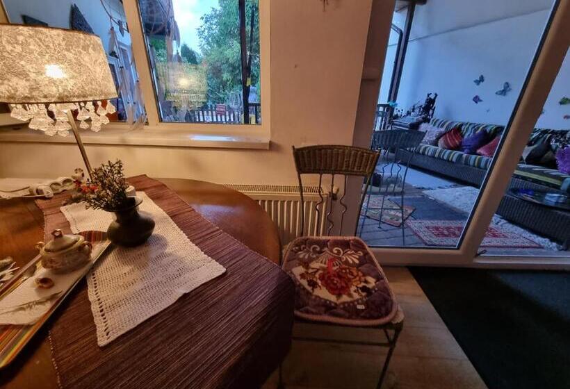 اتاق اکونومی, El Sol