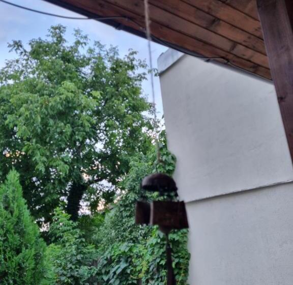 اتاق اکونومی, El Sol