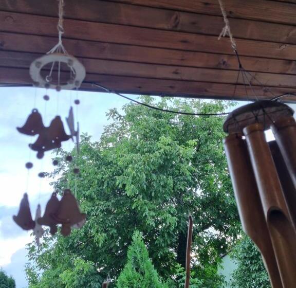 اتاق اکونومی, El Sol