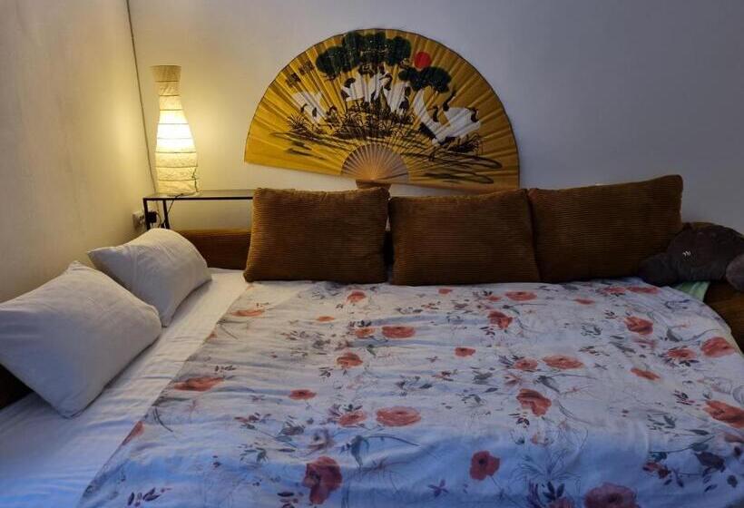 استودیوی لوکس, El Sol