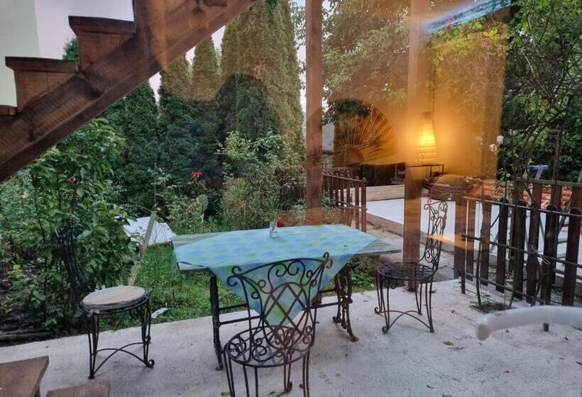 استودیوی لوکس, El Sol