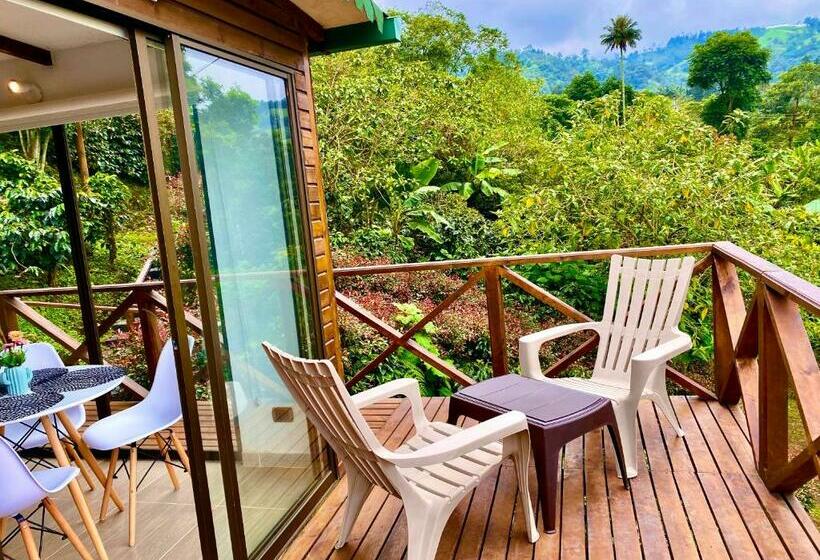 マウンテンビュースタンダードルーム, Finca Agroturistica Descubre Tu Regalo