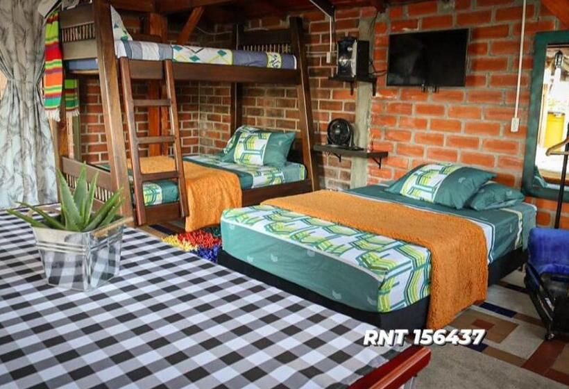 بنگله خانوادگی, The Canarys Hostal
