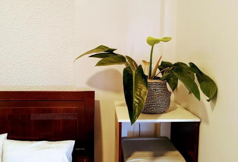 اتاق لوکس, Wasabi House Homestay Bên Chợ đà Lạt