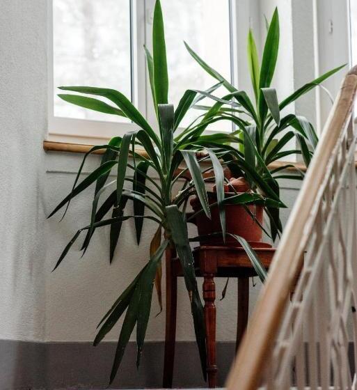 豪华房间, Gruppenhaus Lindenhof Churwalden