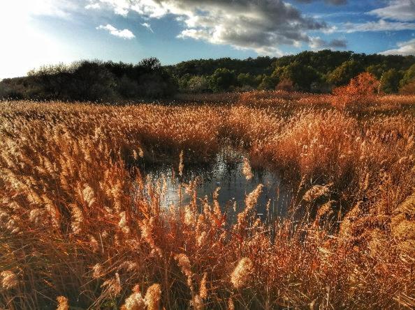 Номер Стандарт Индивидуальный, Evana