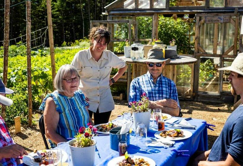 带大床的标准间, Upper Humber Settlement A Farmstay B&b