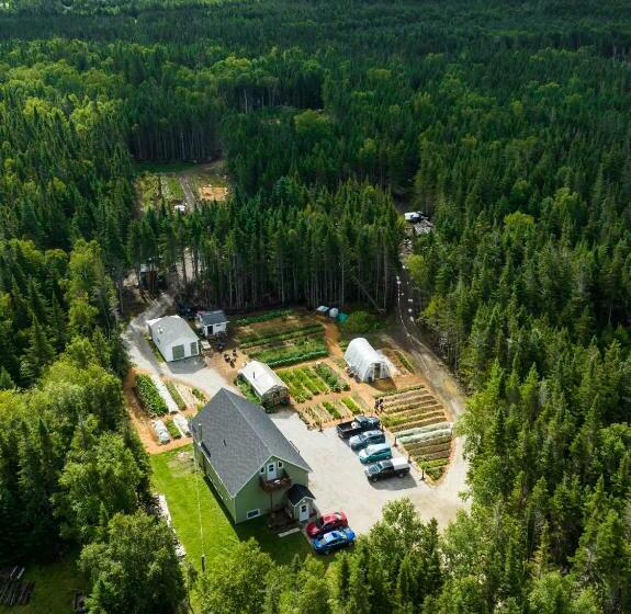 带大床的标准间, Upper Humber Settlement A Farmstay B&b