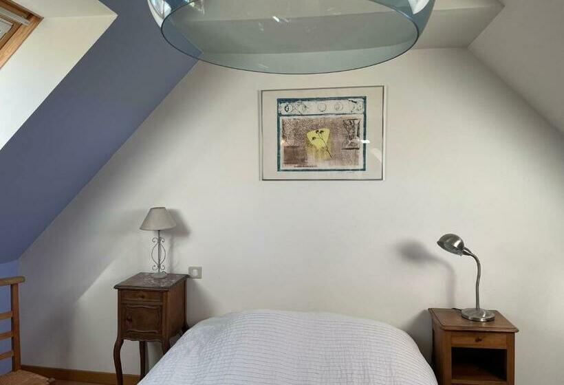 스탠다드 룸, Les Oiseaux De Passage