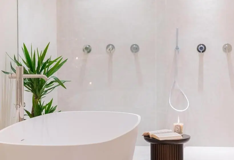 1ベッドルームのデラックスアパートメント, Naxi Suites