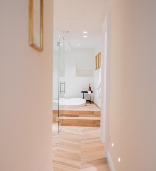 Апартаменты 1 Спальня с Балконом, Naxi Suites