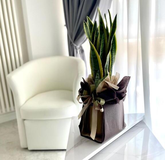 디럭스 룸, Domus De Cinti