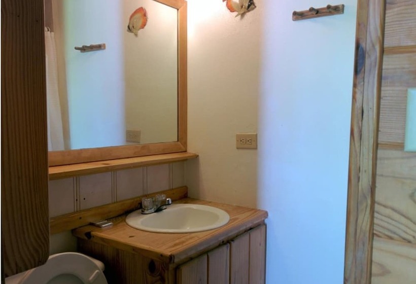 اتاق استاندارد با تخت دوبل, Land Shark Coco Plum Resort