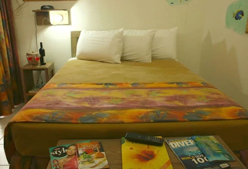 اتاق استاندارد با تخت دوبل, Land Shark Coco Plum Resort