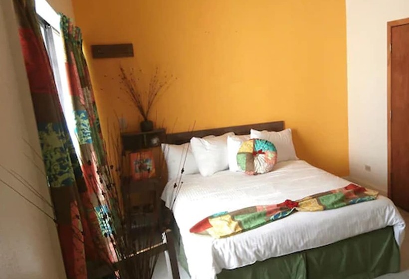 اتاق استاندارد با تخت دوبل, Land Shark Coco Plum Resort