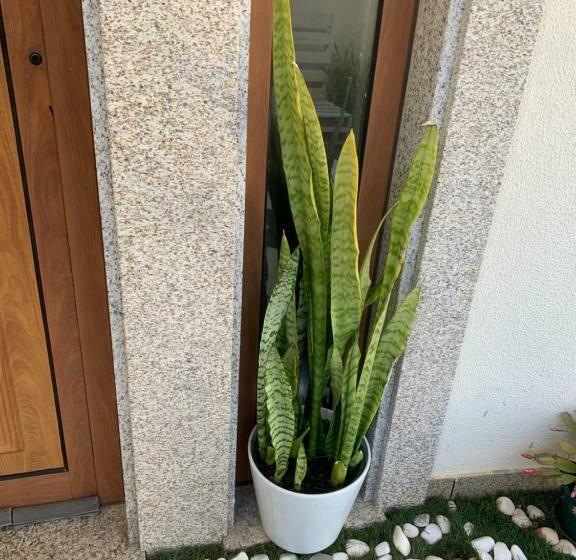 غرفة عائلية, Exclusive Suites Casinha Da Amoreira Guesthouse