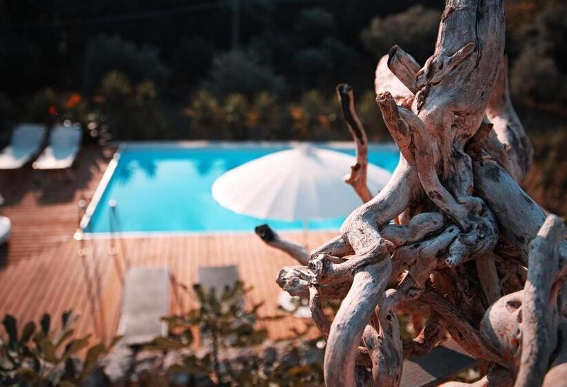 סוויטה, Trulli Jaja