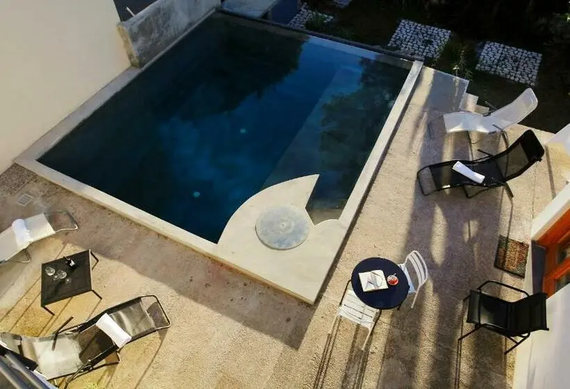 プールビュースタンダードステューディオ, Pizzo Cane House Camera Con Bagno E Piscina