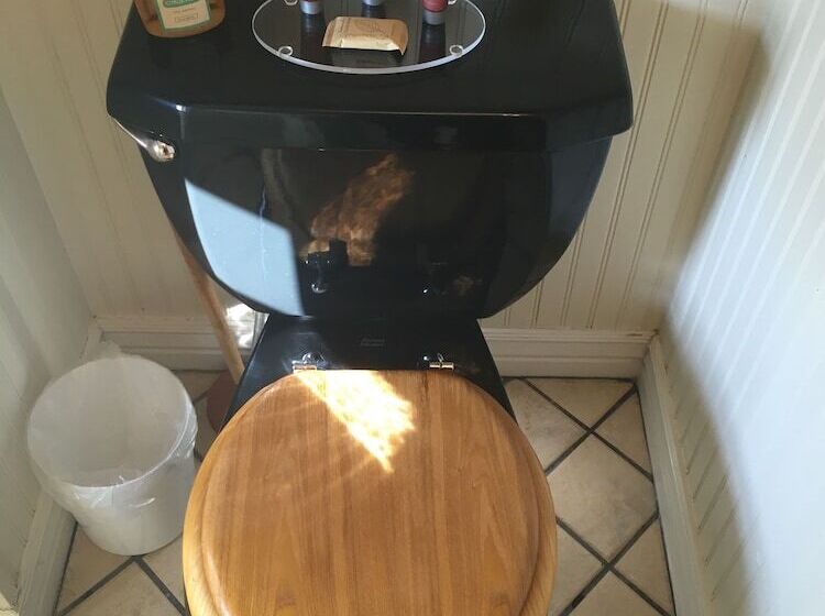 חדר סטנדרט מיטה זוגית, Frisco Lodge