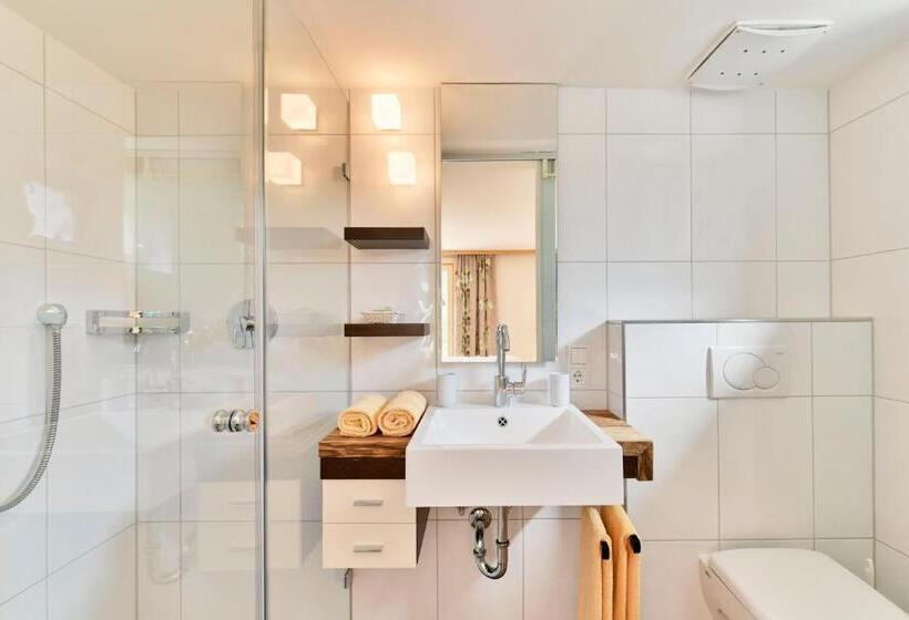 غرفة قياسية, Pension Widderstein