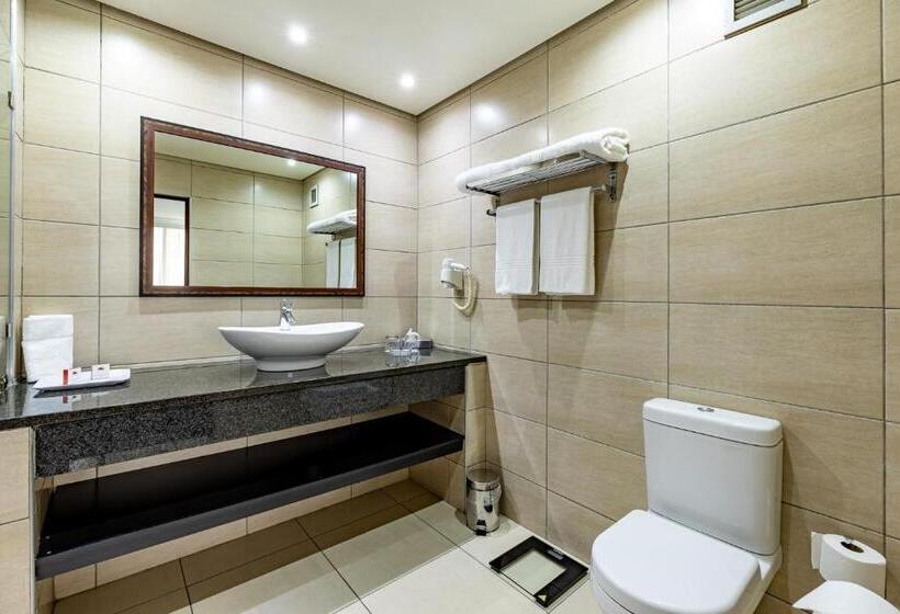 스위트, African Sky Ermelo Inn