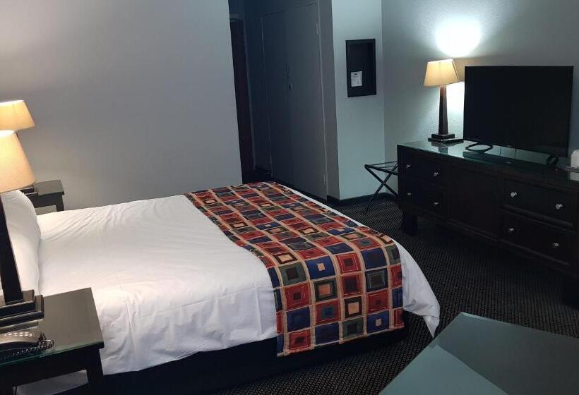 חדר סטנדרט עם מיטת קינג, African Sky Ermelo Inn