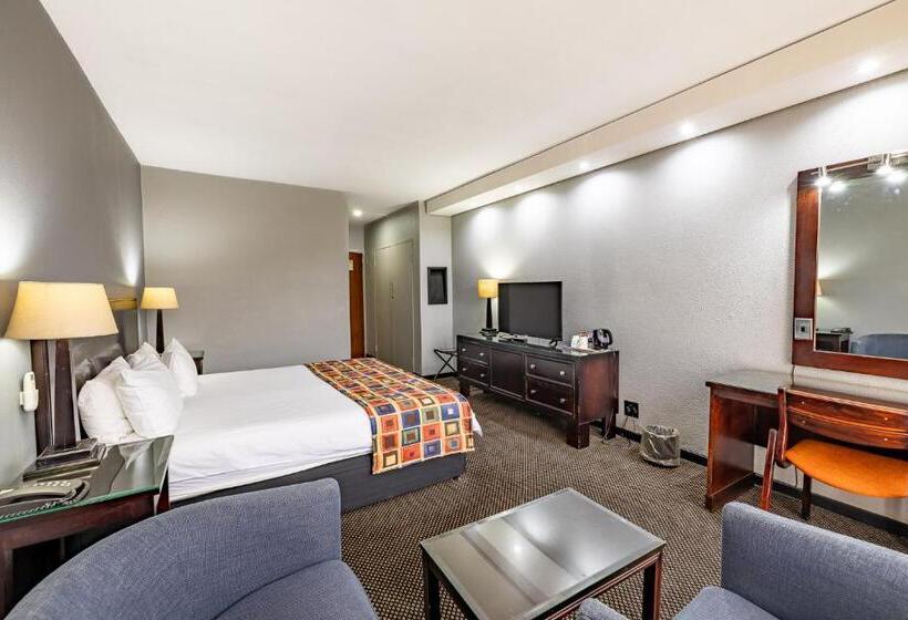 חדר סטנדרט עם מיטת קינג, African Sky Ermelo Inn