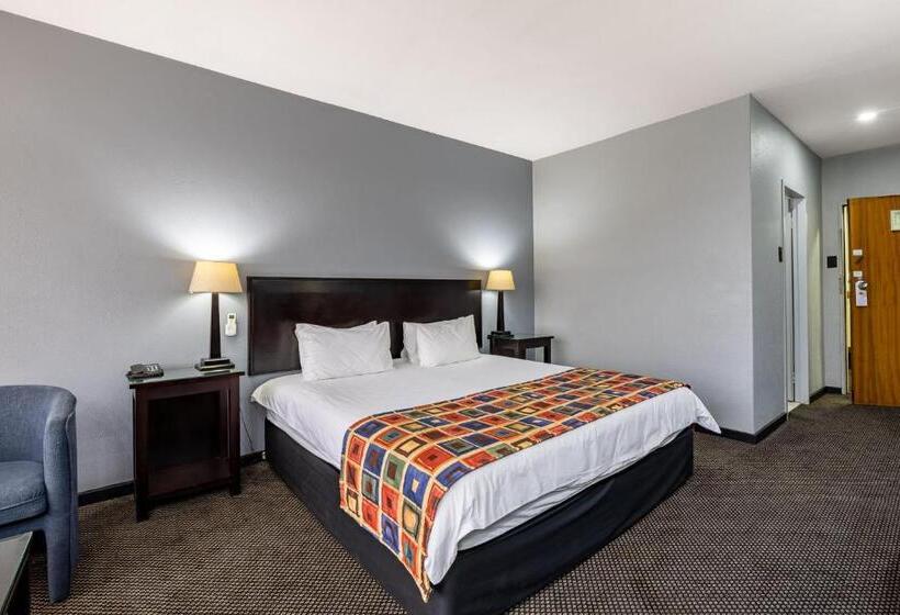 חדר סטנדרט עם מיטת קינג, African Sky Ermelo Inn