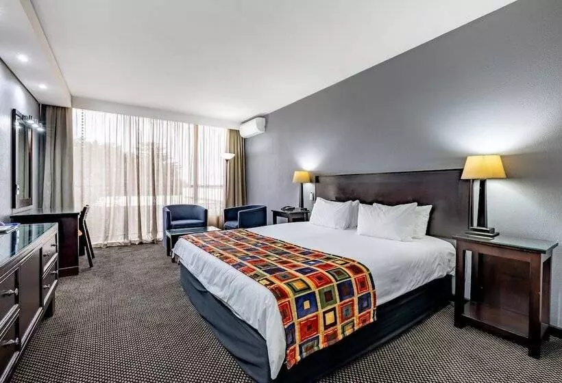 Standard-huone King-vuode, African Sky Ermelo Inn