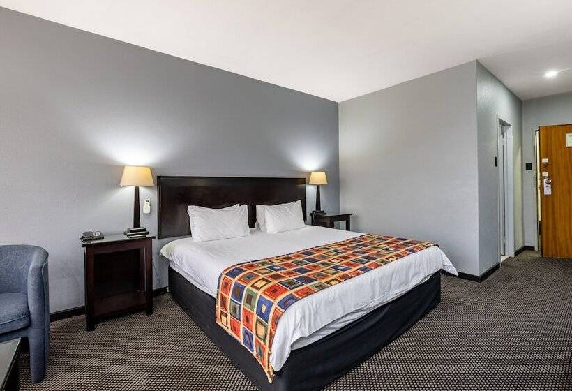 스탠다드 룸 킹사이즈 침대, African Sky Ermelo Inn