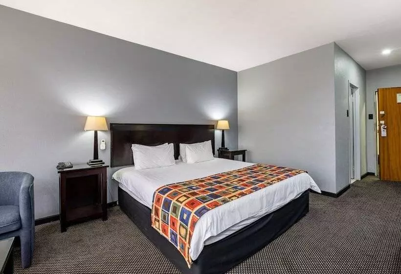 Standard-huone King-vuode, African Sky Ermelo Inn