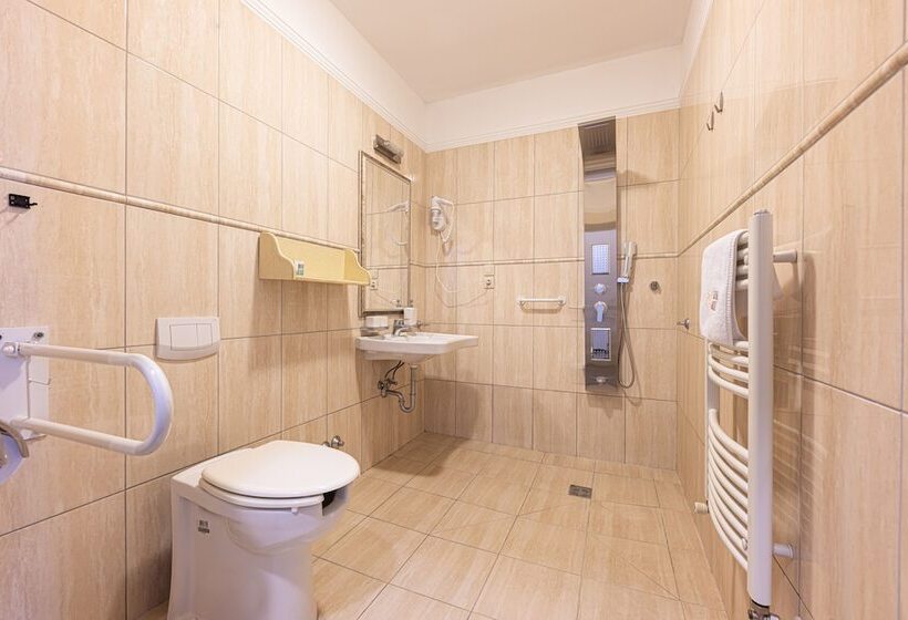 障害者適応デラックスルーム, Bazilika Alatt Panzió