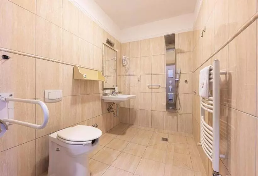 اتاق استاندارد با تخت بزرگ برای معلولان, Bazilika Alatt Panzió