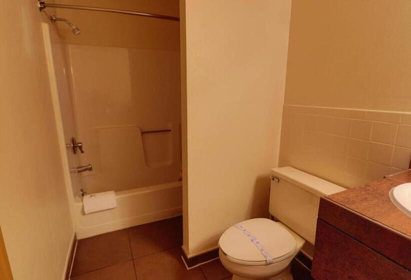 带大床的标准间, Red Carpet Inn Berlin