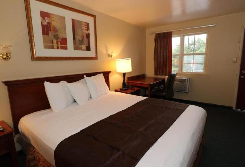 带大床的标准间, Red Carpet Inn Berlin