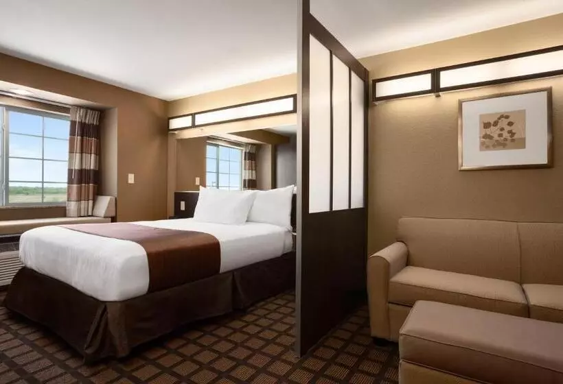 スタンダードスタジオ, Microtel Inn & Suites Pleasanton