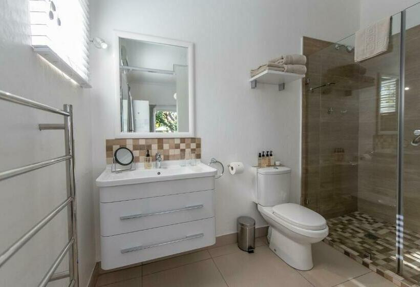 غرفة قياسية, Ballinderry The Robertson Guest House